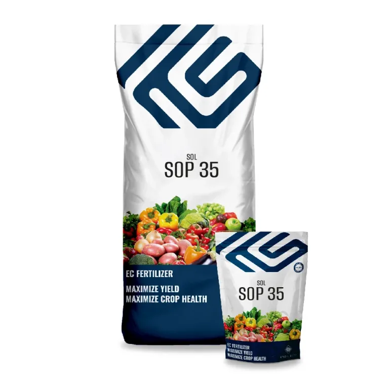 Sol SOP 35